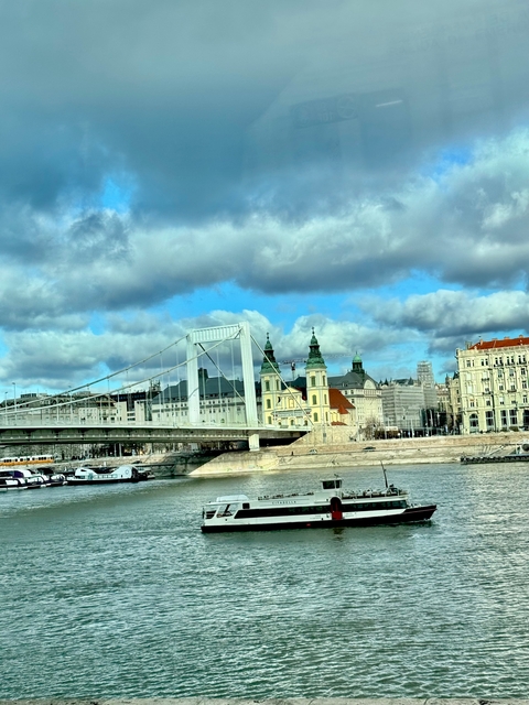 View of a cityscape featuring a bridge and historic buildings under a cloudy sky.