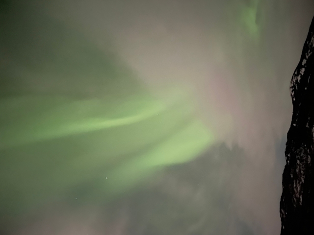       Aurora lights in the night sky with stars visible.
  