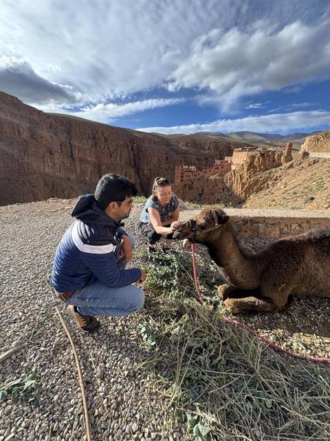       foto de reseña de cliente de Tour de lujo de 9 días por el Desierto de Glamping en Marruecos desde Marrakech, Fez y Chefchaouen 
  