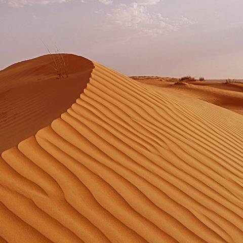       Rippling sand dunes under a pinkish sky.
  