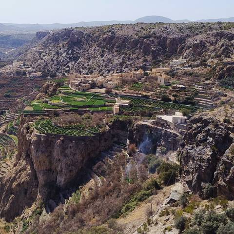 Terraced farmland on a mountainous terrain.