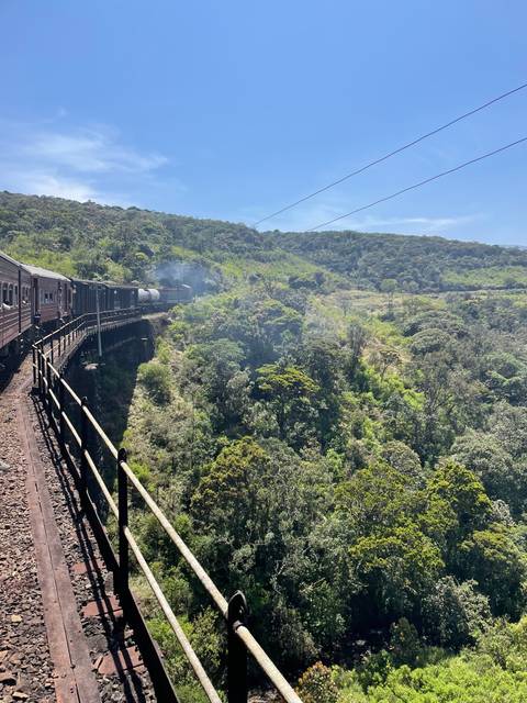 A train traveling on a bridge through a lush green landscape.