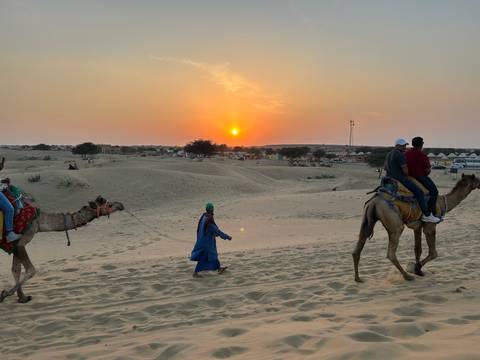       A person leading camels in the desert at sunset.
  