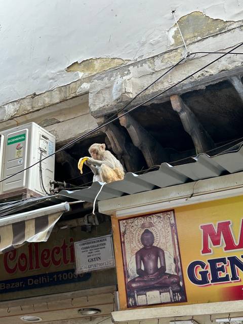       A monkey eating a banana while sitting on a roof.
  