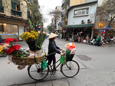       Person cycling on a street with flowers in her basket.
  