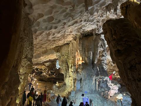       A cave with intricate stalactites and tourists exploring.
  
