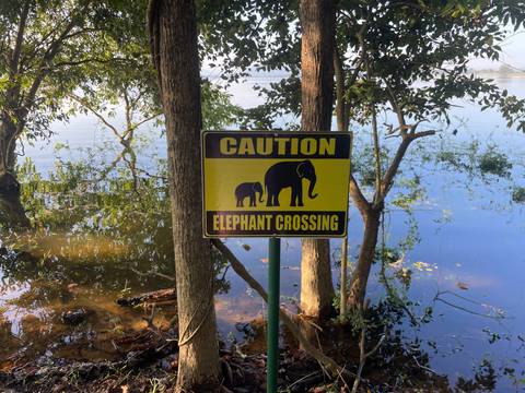       Sign warning of elephant crossing with a water backdrop.
  