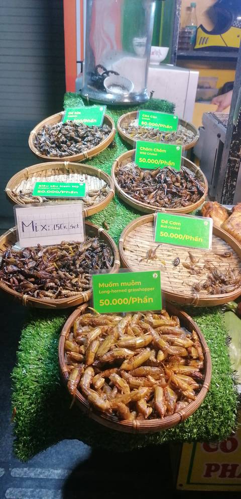       Market display featuring insects for sale.
  