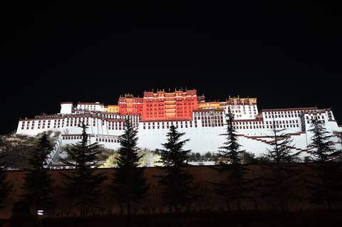 The illuminated facade of the Potala Palace at night.