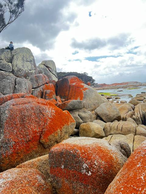 Brightly colored rocks by the ocean, covered with orange lichen.