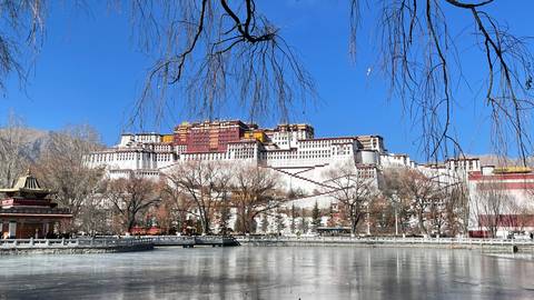 View of Potala Palace reflected in a frozen lake with surrounding trees.