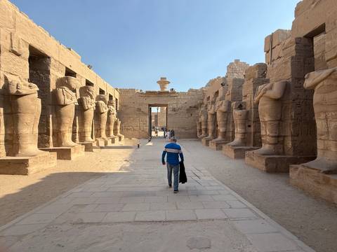       Person walking through a corridor with ancient statues.
  