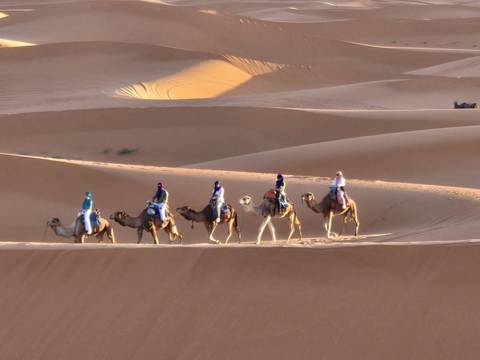 Group of people on camels traveling through the desert.