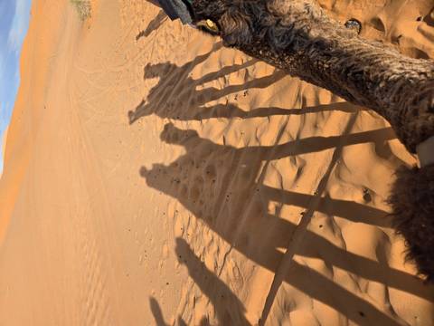       Shadows of camels and riders on sand dunes.
  