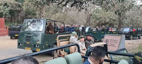 Group of tourists in safari vehicles in a forested area.
