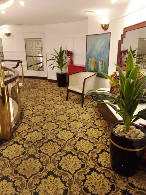 Interior with chairs and plants in a decorated lounge.