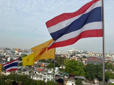       Flags waving with a city view in the background.
  