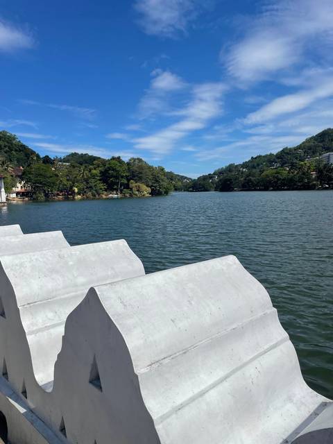       Lake view with surrounding greenery.
  