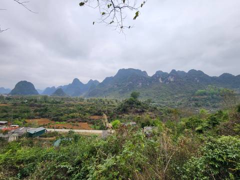       Scenic view of lush green landscape with mountains in the background.
  
