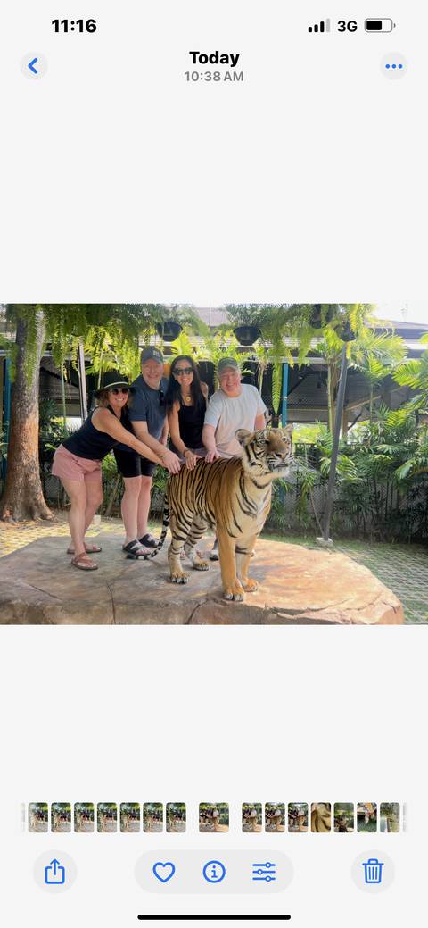 Tourists posing with a tiger under a canopy.