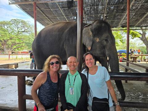 Tourists with an elephant in a shelter.