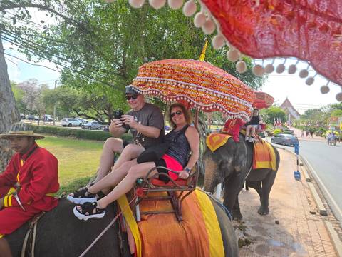 People riding elephants along a roadside.