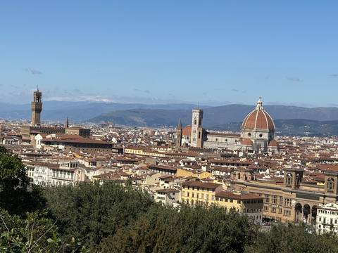       Panorama of Florence including the Cathedral and Palazzo Vecchio.
  