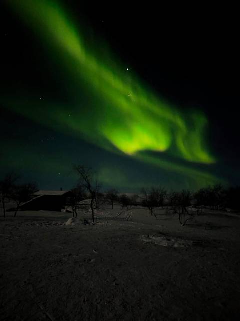 Green aurora illuminating a snowy field with a cabin.