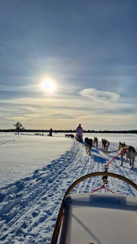 Dog sledding across a snowy landscape during the day.