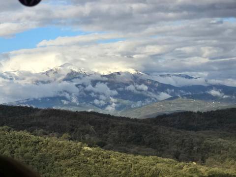       Scenic view of snow-capped mountains with forested foreground.
  
