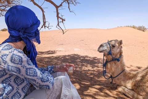 Person in traditional attire with a camel in the desert.