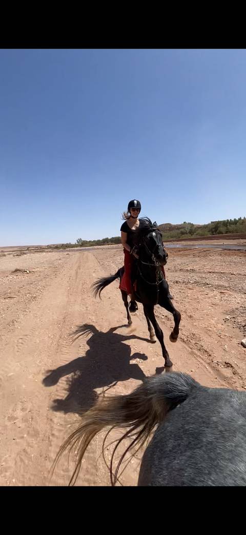       Person riding a horse on a barren dirt path.
  
