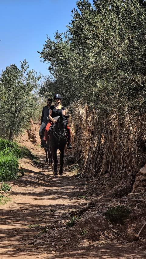 Two people riding horses on a narrow dirt path with foliage around.