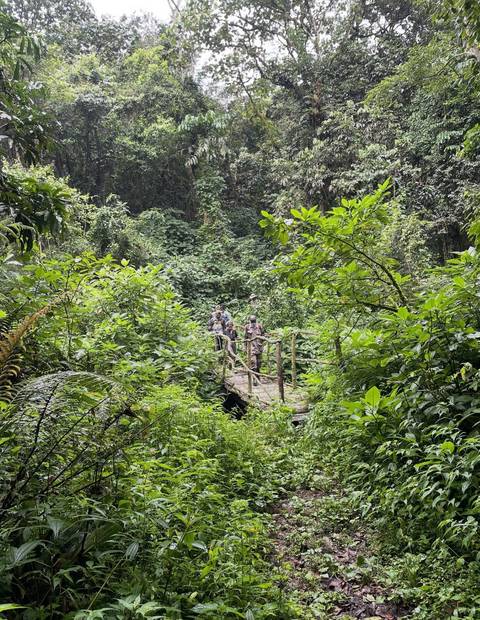 Group of people crossing a wooden bridge in a dense forest area.