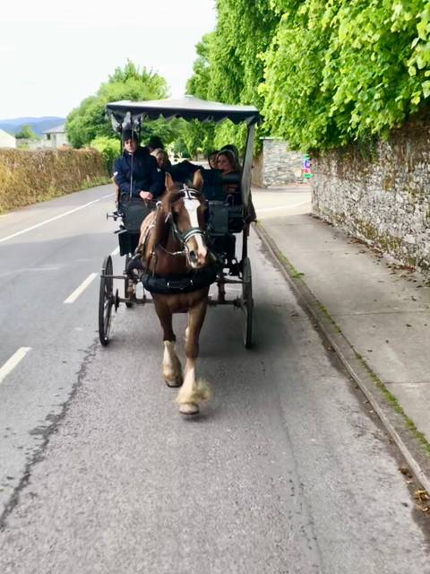       Horse-drawn carriage on road.
  