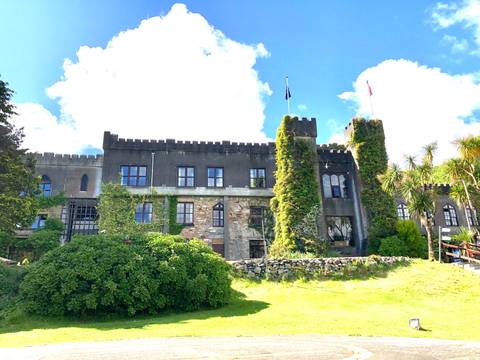       Castle with ivy-covered walls.
  