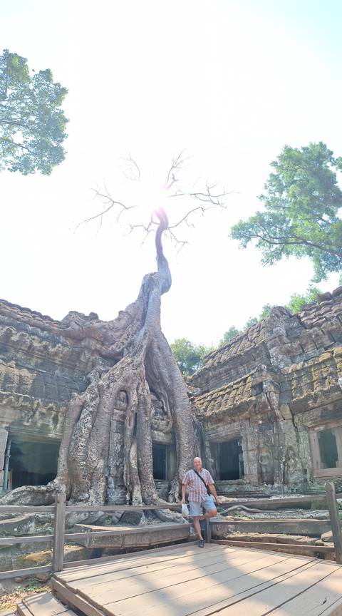 Large tree growing through ancient structure.