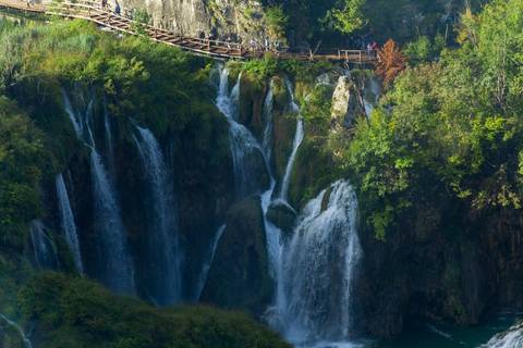 Scenic view of waterfalls cascading into a forested area.