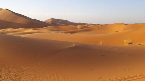 Sandy dunes with clear sky in the desert.