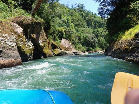 River flowing through a lush green canyon with rocks.