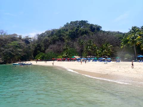       Scenic beach with sunbathers and lush trees in the background.
  