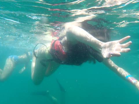       Person snorkeling underwater, reaching out with hand.
  