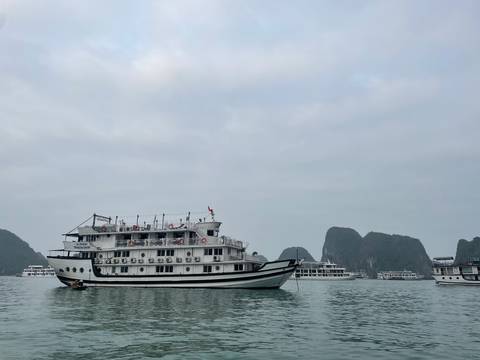       Large boat in a bay with karst mountains in the background.
  