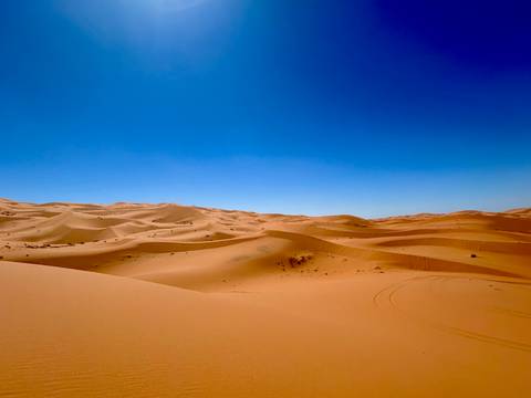       Vast sand dunes under a clear blue sky.
  