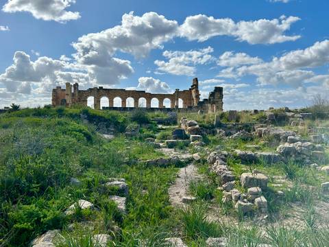       Roman ruins with arch structures in a green field.
  
