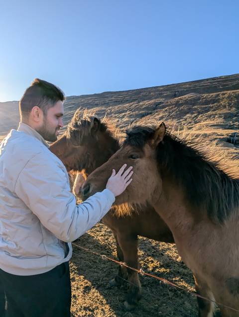       Person petting two Icelandic horses in a rural setting.
  