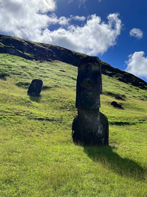 Standing Moai statue on a grassy hillside on Easter Island.