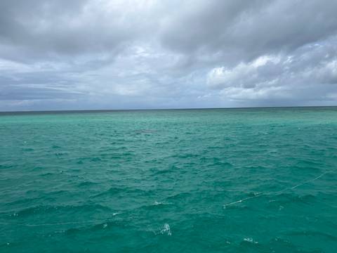       Turquoise ocean under an overcast sky.
  