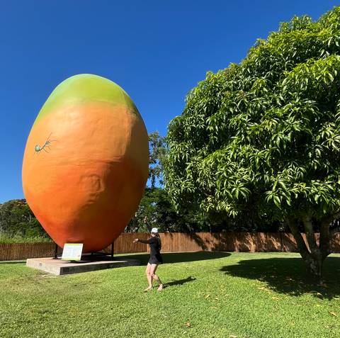 A large mango sculpture with a person standing next to it under a clear blue sky.