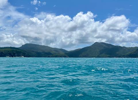       Ocean with waves and hills under a cloudy sky.
  